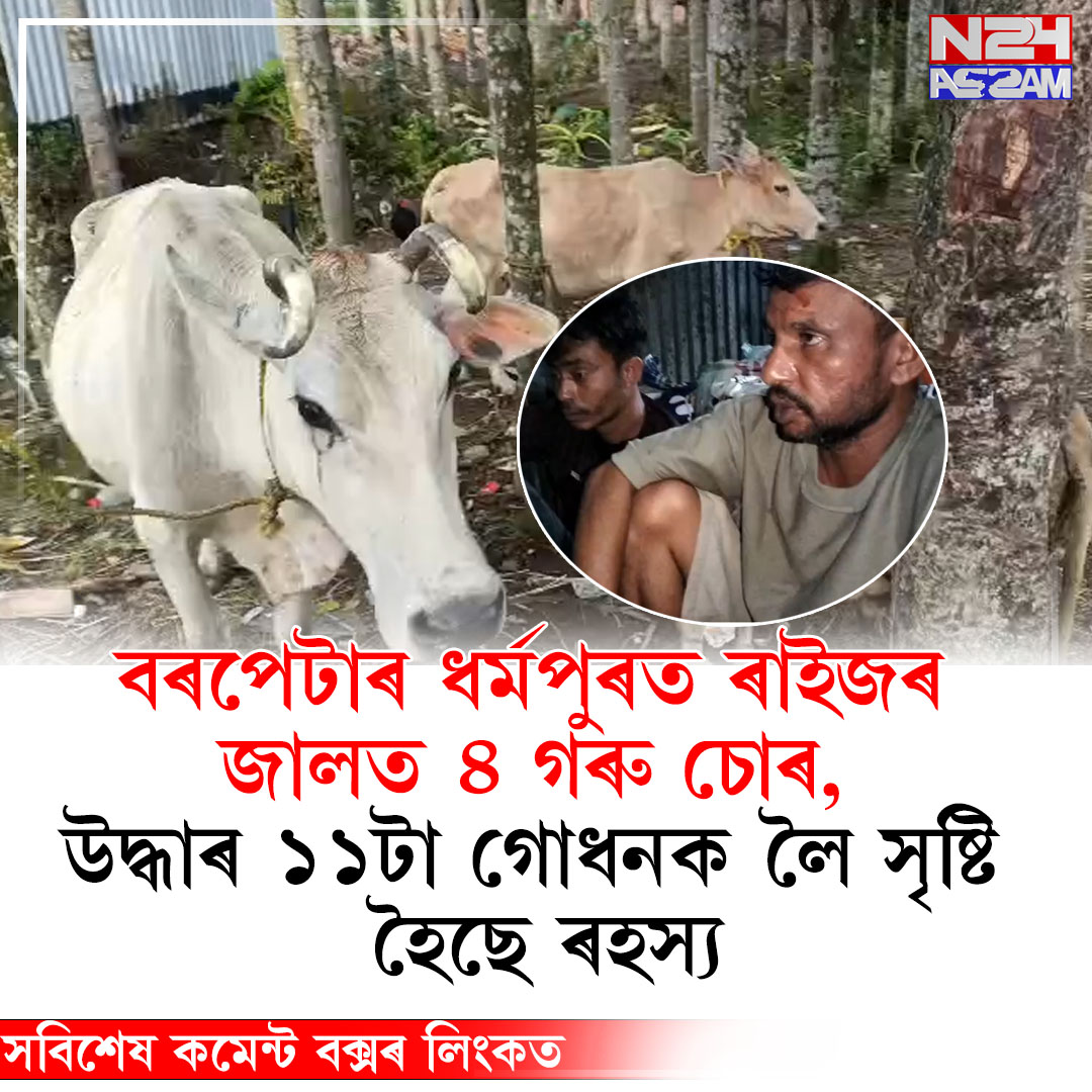 বৰপেটাৰ ধৰ্মপুৰত ৰাইজৰ জালত ৪ গৰু চোৰ, উদ্ধাৰ ১১টা গোধনক লৈ সৃষ্টি হৈছে ৰহস্য । Barpeta