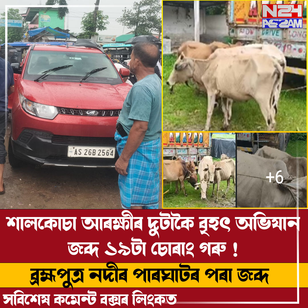 শালকোচা আৰক্ষীৰ দুটাকৈ বৃহৎ অভিযান জব্দ ১৯টা চোৰাং গৰু !